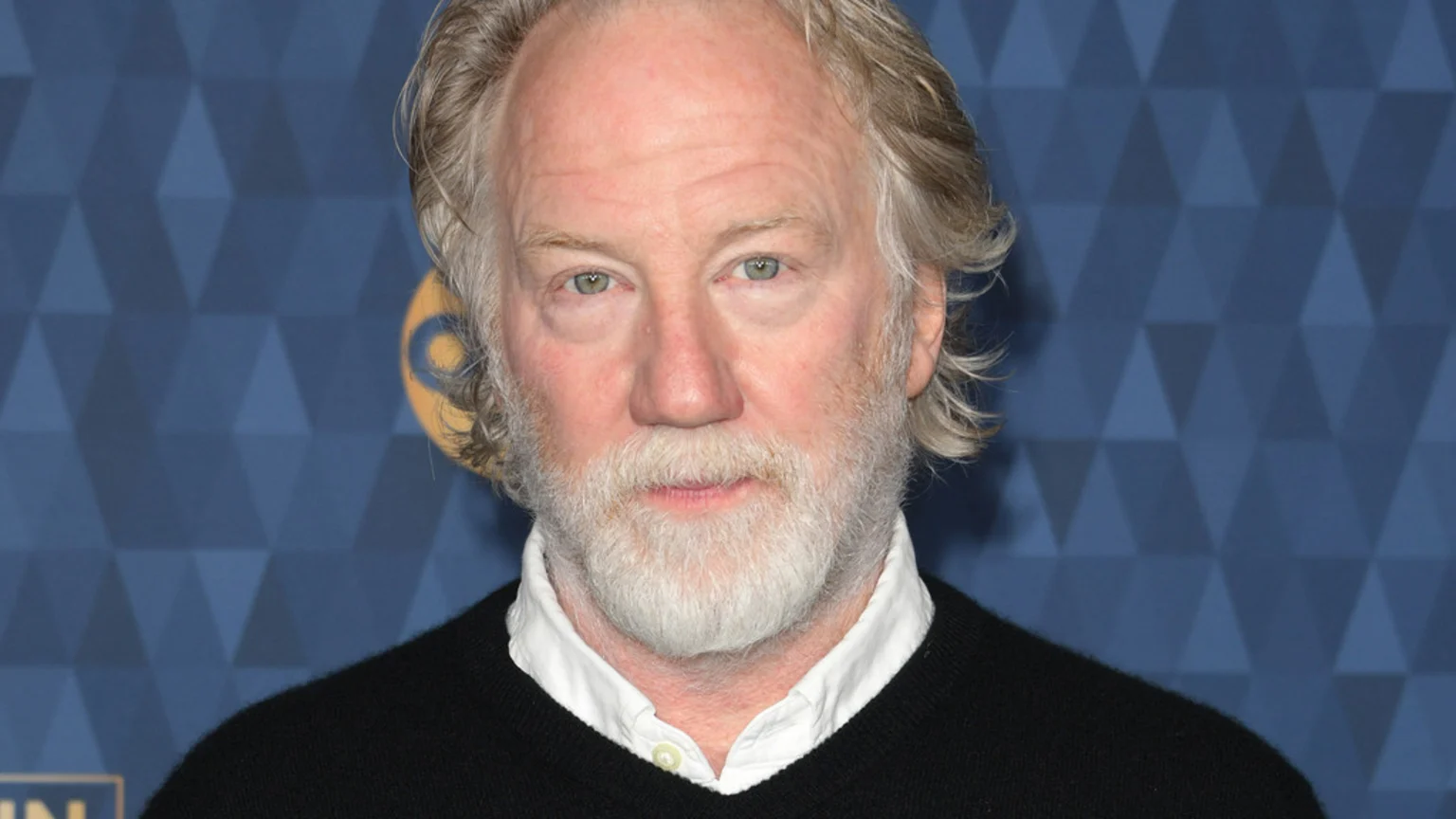 A portrait of Timothy Busfield, an older man with gray hair and a gray beard, wearing a black sweater over a white shirt, looking directly at the camera against a blurred blue patterned background.