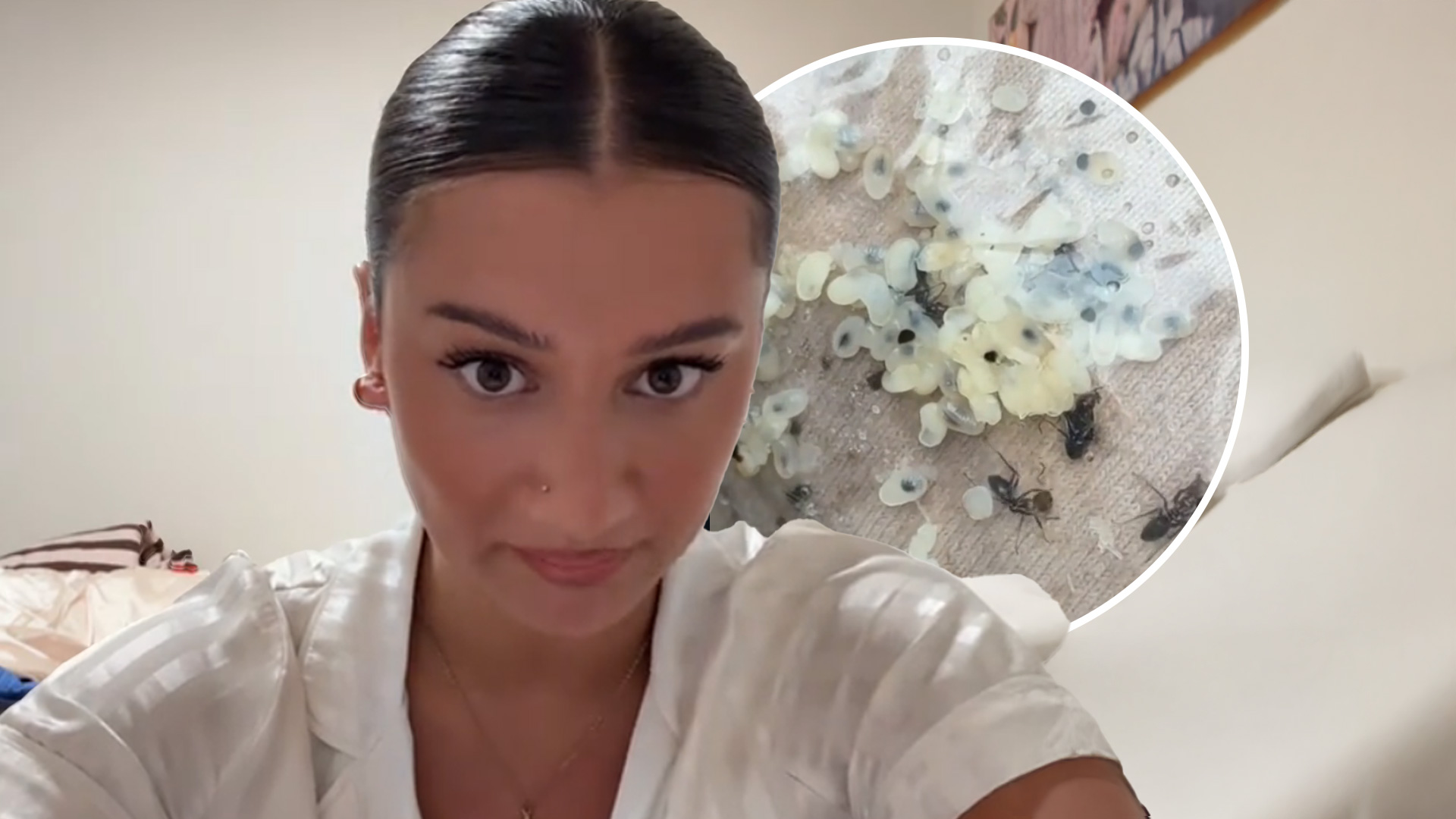 'Diabolical!': Kiwi girl receives ant and larvae-infested Peppermayo package