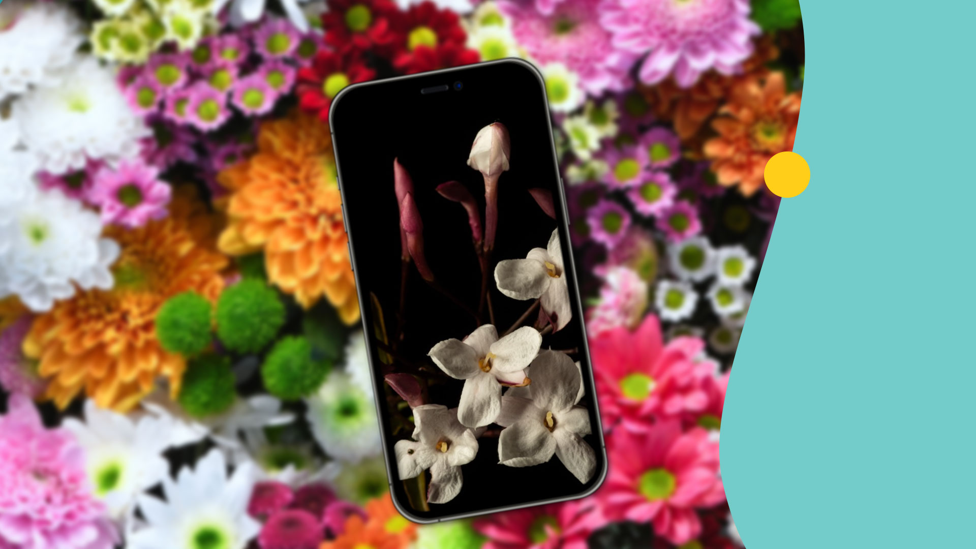 Flowers with phone overlay