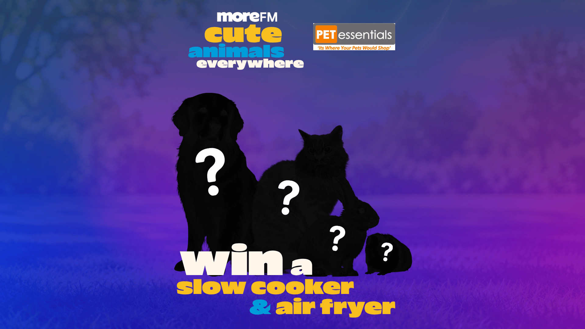A blue and purple image features silhouettes of a dog, cat, rabbit, and guinea pig, each with a question mark, alongside text that reads 'moreFM cute animals everywhere', 'PET essentials', and 'win a slow cooker & air fryer'.