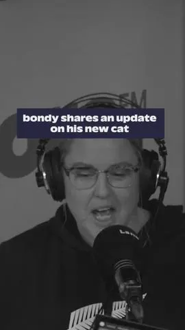 Update on the show cat