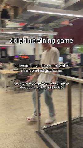 Another dolphin training game...