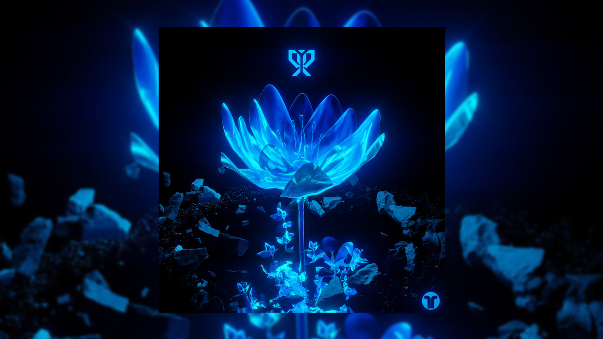 Kiwi Discovery: Pirapus - After The End