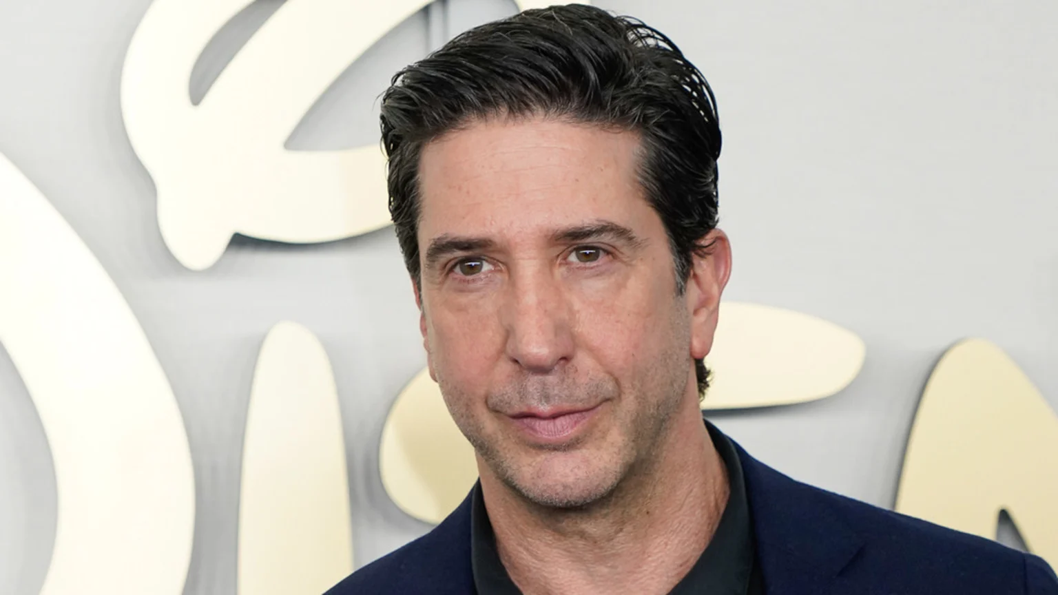 Headshot of actor David Schwimmer looking directly at the camera with a slight smile, wearing a dark blue suit jacket over a dark shirt, against a light gray background with blurred cream shapes.