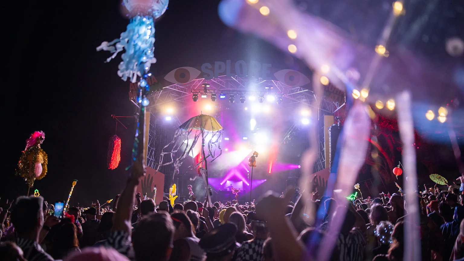 Crowd view of Splore 2024 stage at night