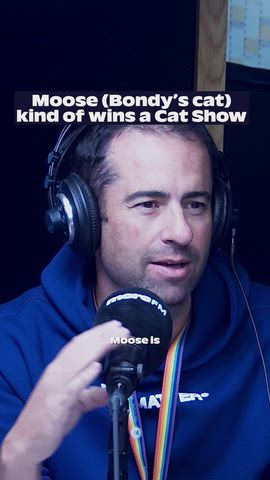Bondy's cat entered a show! 