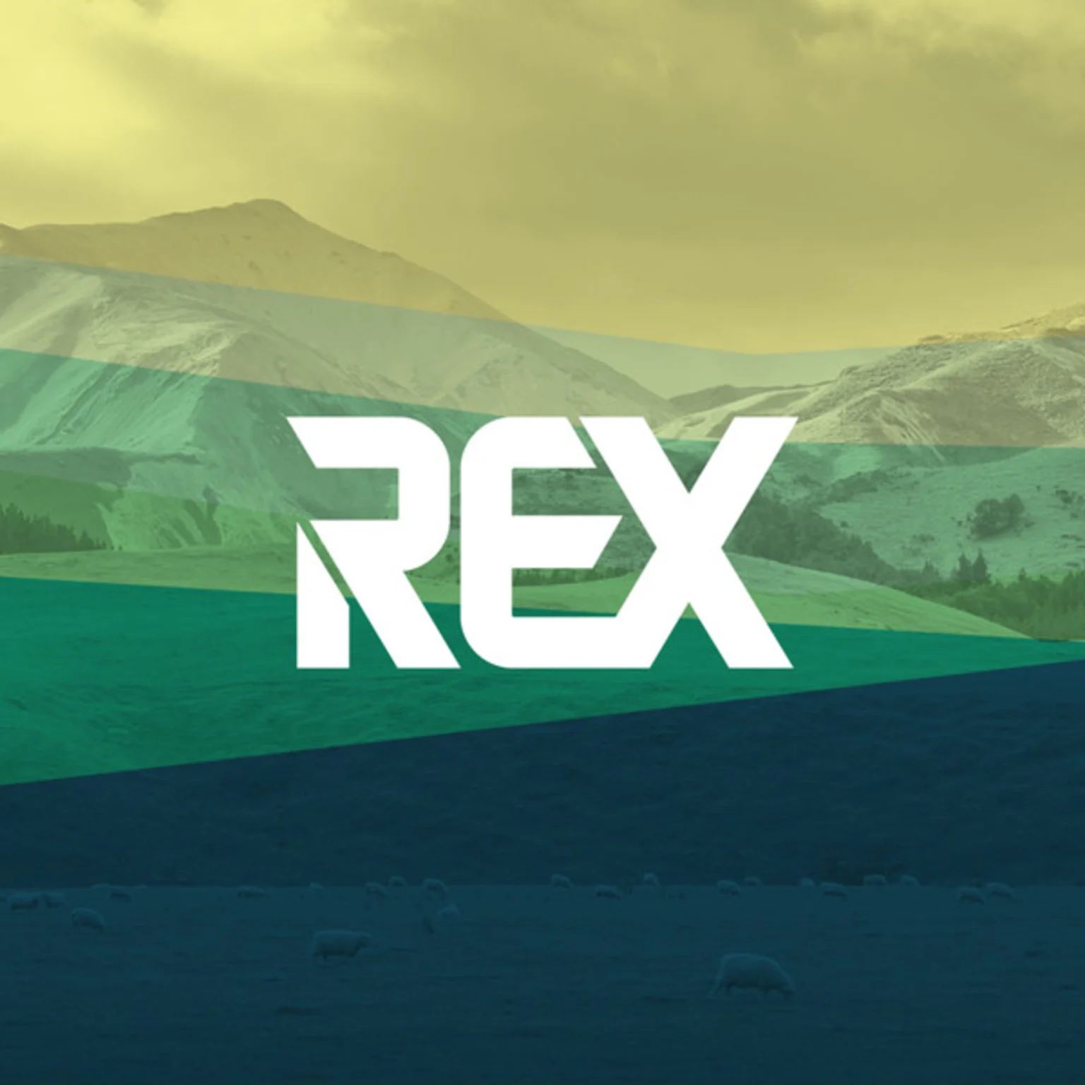 Jim Ward - REX Recommends