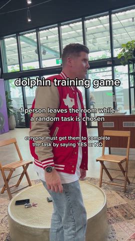 Dolphin training game
