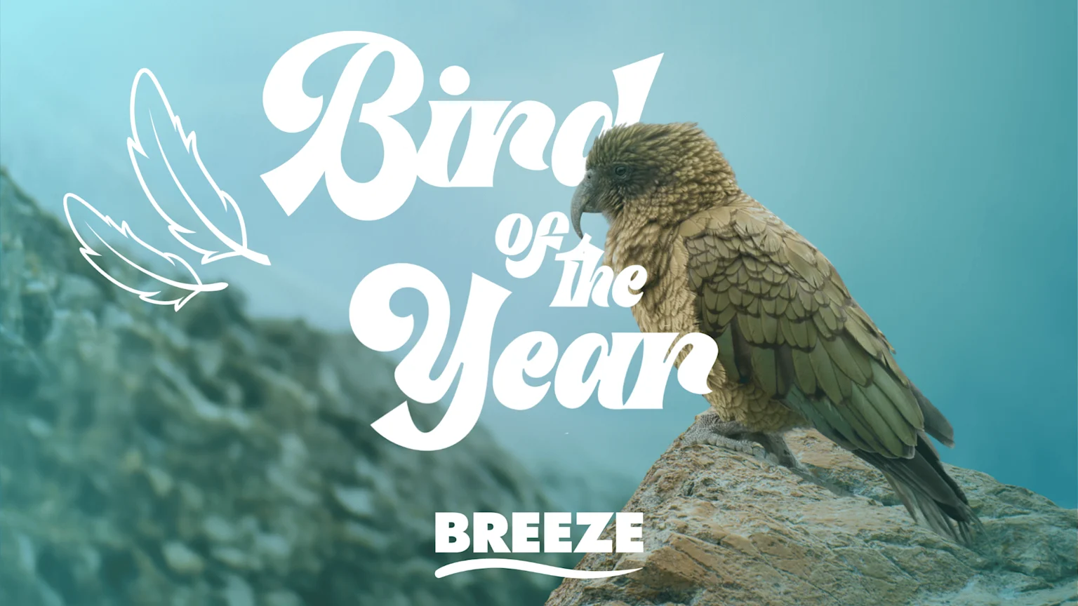 A brown Kea parrot stands on a rock with large white text "Bird of the Year", two white outline feathers, and "BREEZE" against a blurred blue and rocky landscape.