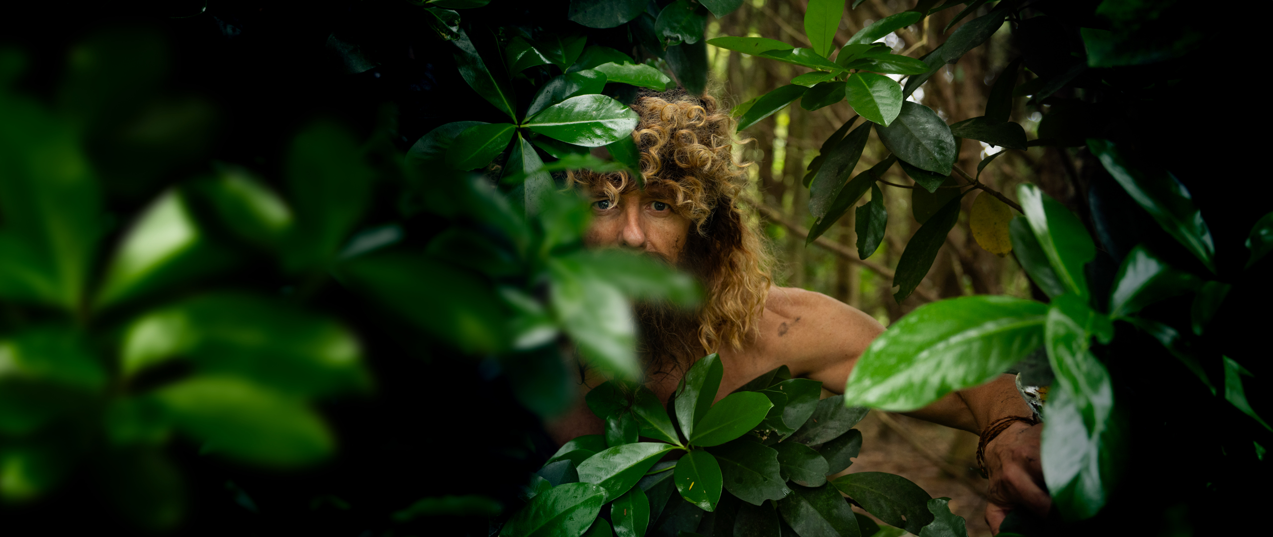 rova | more entertainment in one place | rova