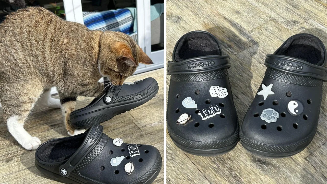 I went from HATING Crocs to wearing them 24 7 these are the new styles that converted me Articles rova