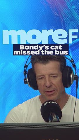 OF Course Bondy's cat would miss the buss