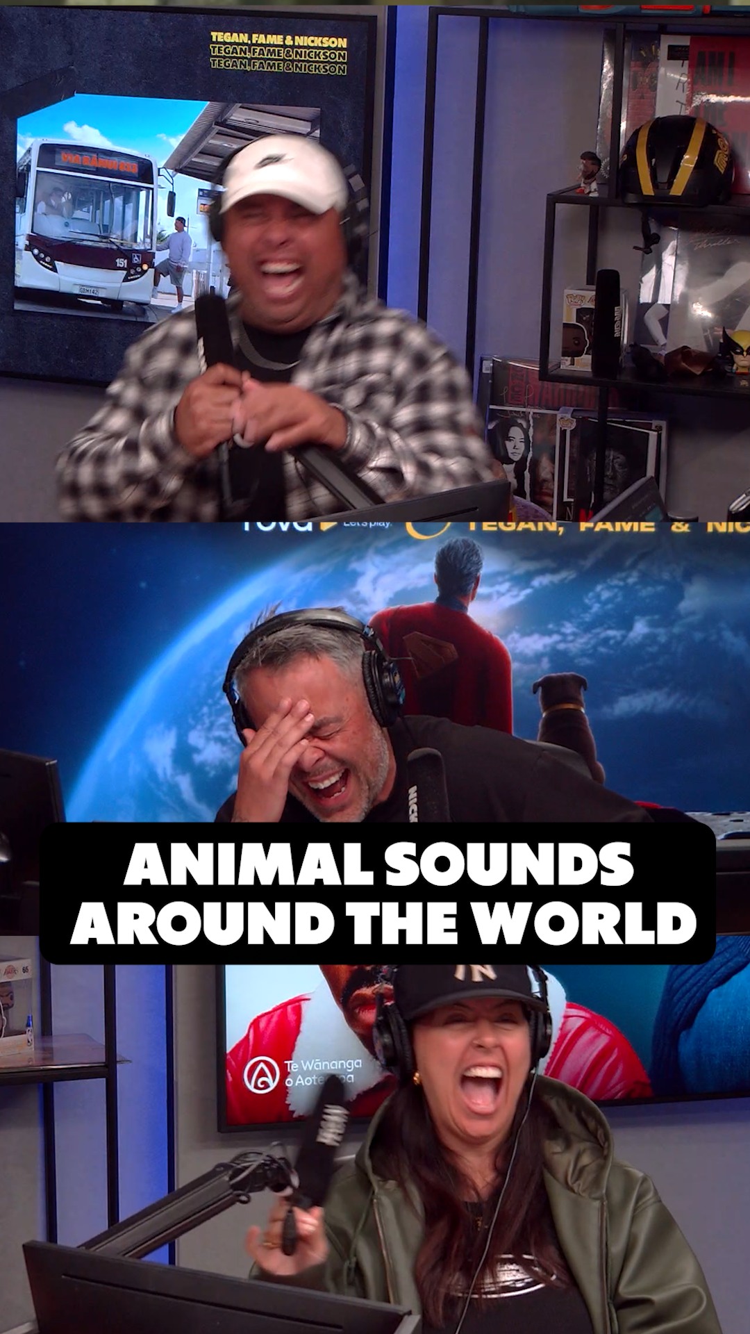 Animal sounds around the world