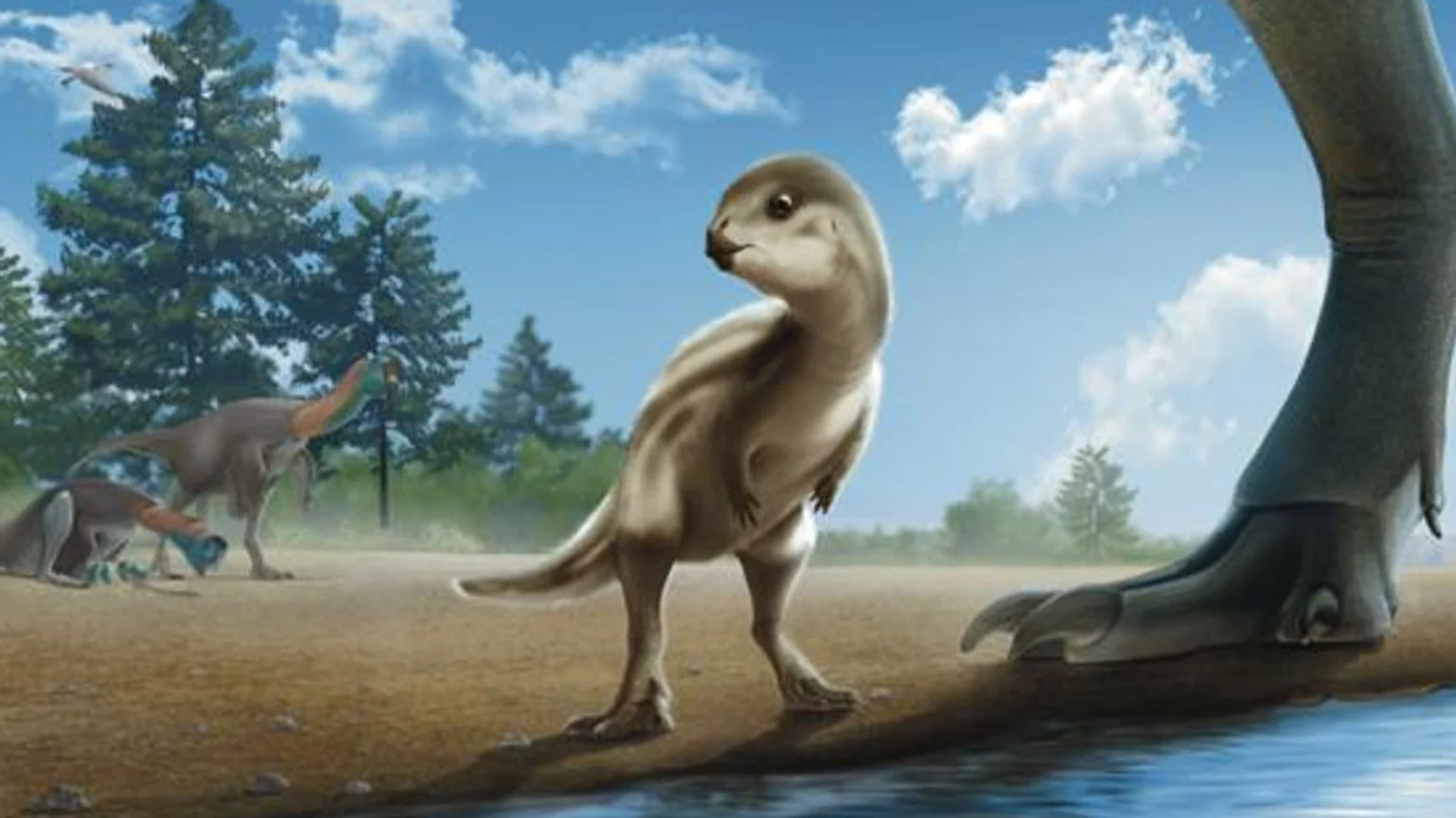 A cute baby dinosaur with large eyes stands beside a huge dinosaur foot near a body of water, while two other dinosaurs are in the background.