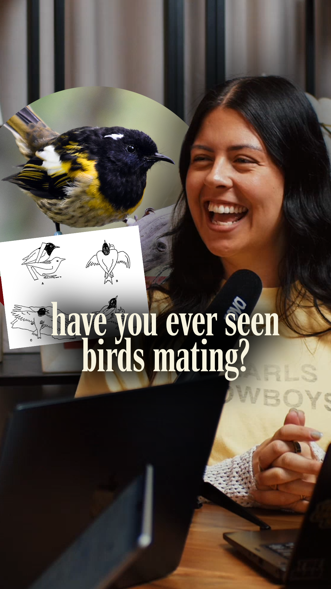 Who knew Hihi birds got down and dirty like this? 🥵🕊️