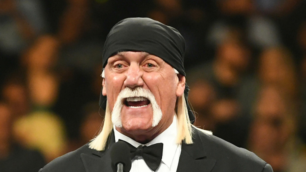 Hulk Hogan took enough fentanyl to 'kill a horse' following divorce