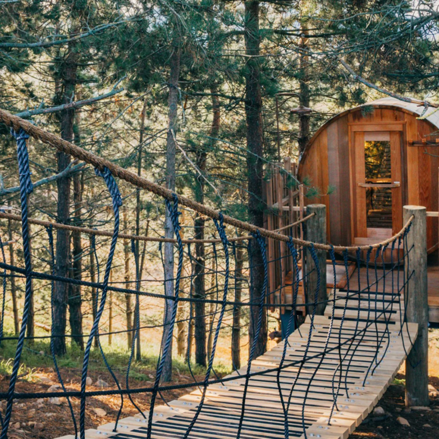 Building dreams among the treetops A luxurious farm stay experience ...