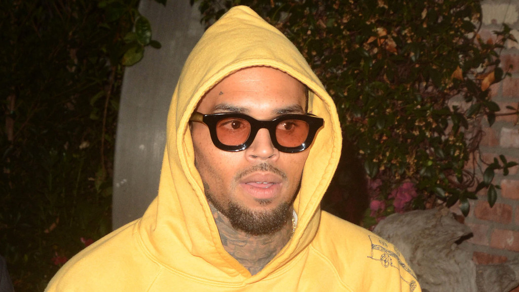 Judge set to reduce $12.9m award in Chris Brown dog mauling case