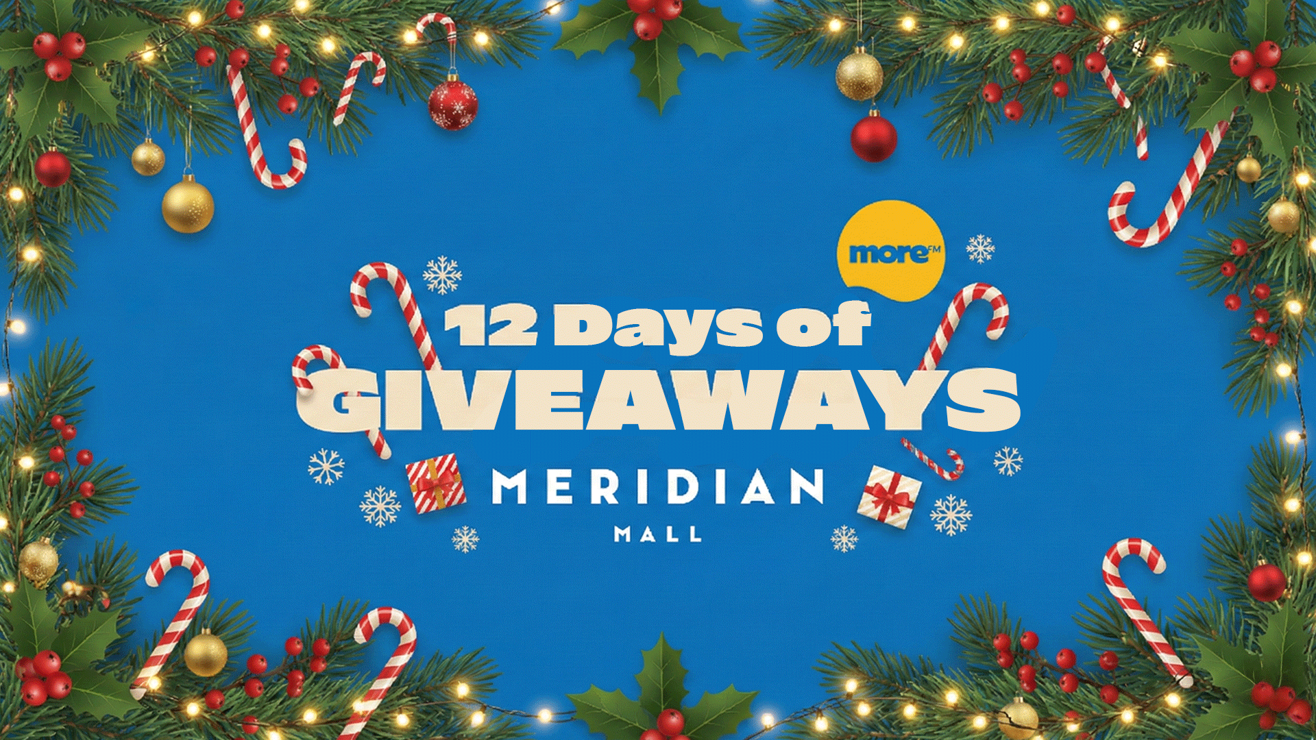 Meridian Mall's 12 Days of Christmas with More FM Dunedin