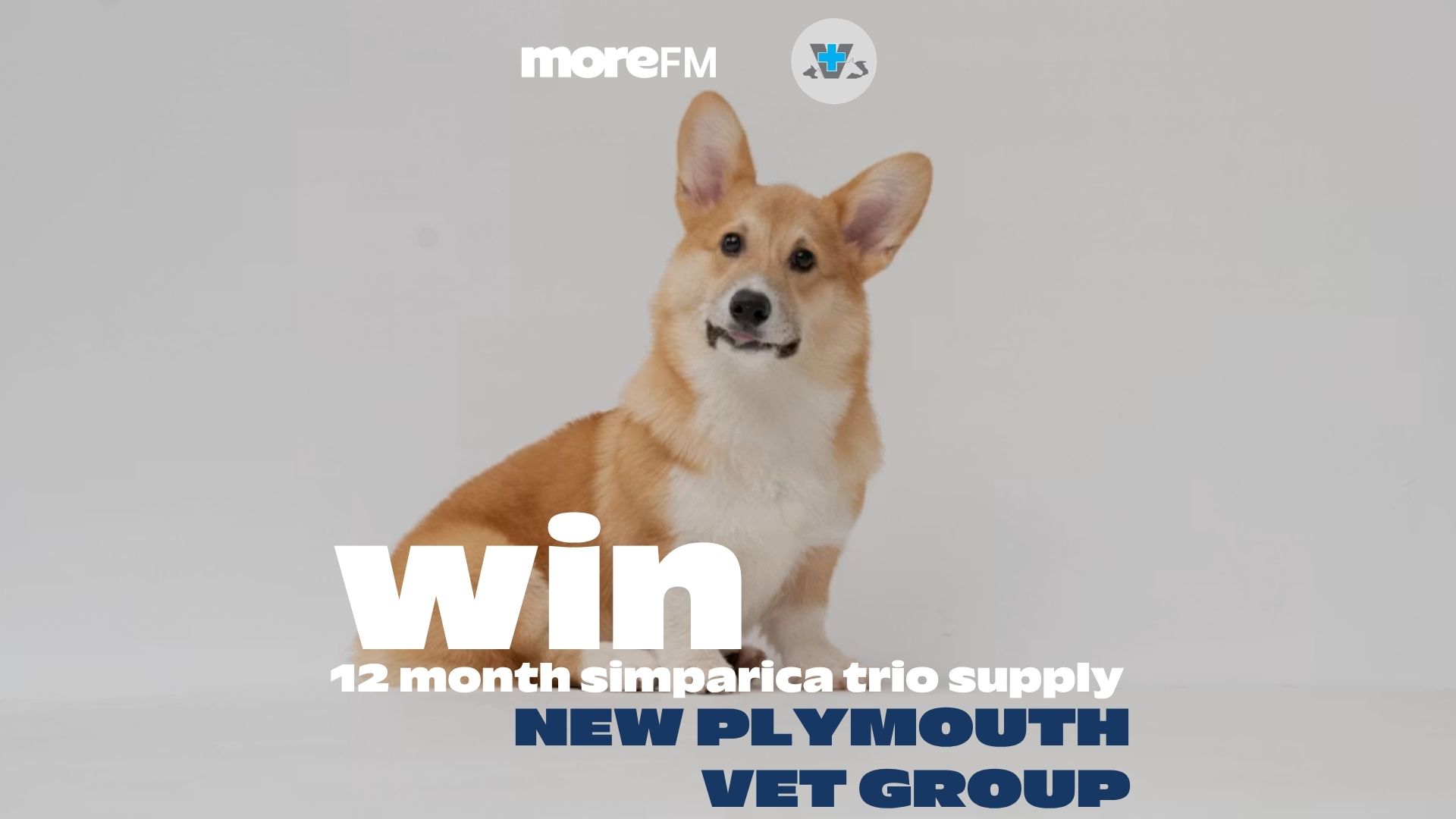 A smiling corgi dog sits on a light background, below logos for "moreFM" and a vet, with text "win 12 month simparica trio supply NEW PLYMOUTH VET GROUP".