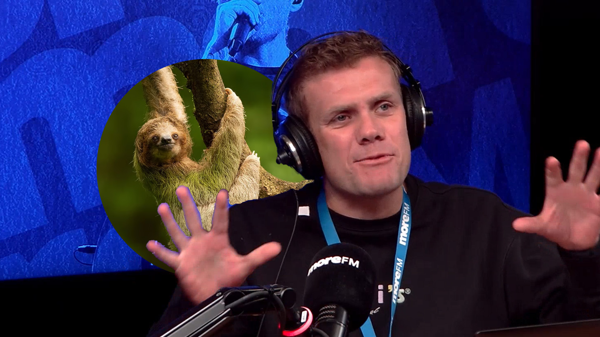 Speedy’s sloth fact stops the studio