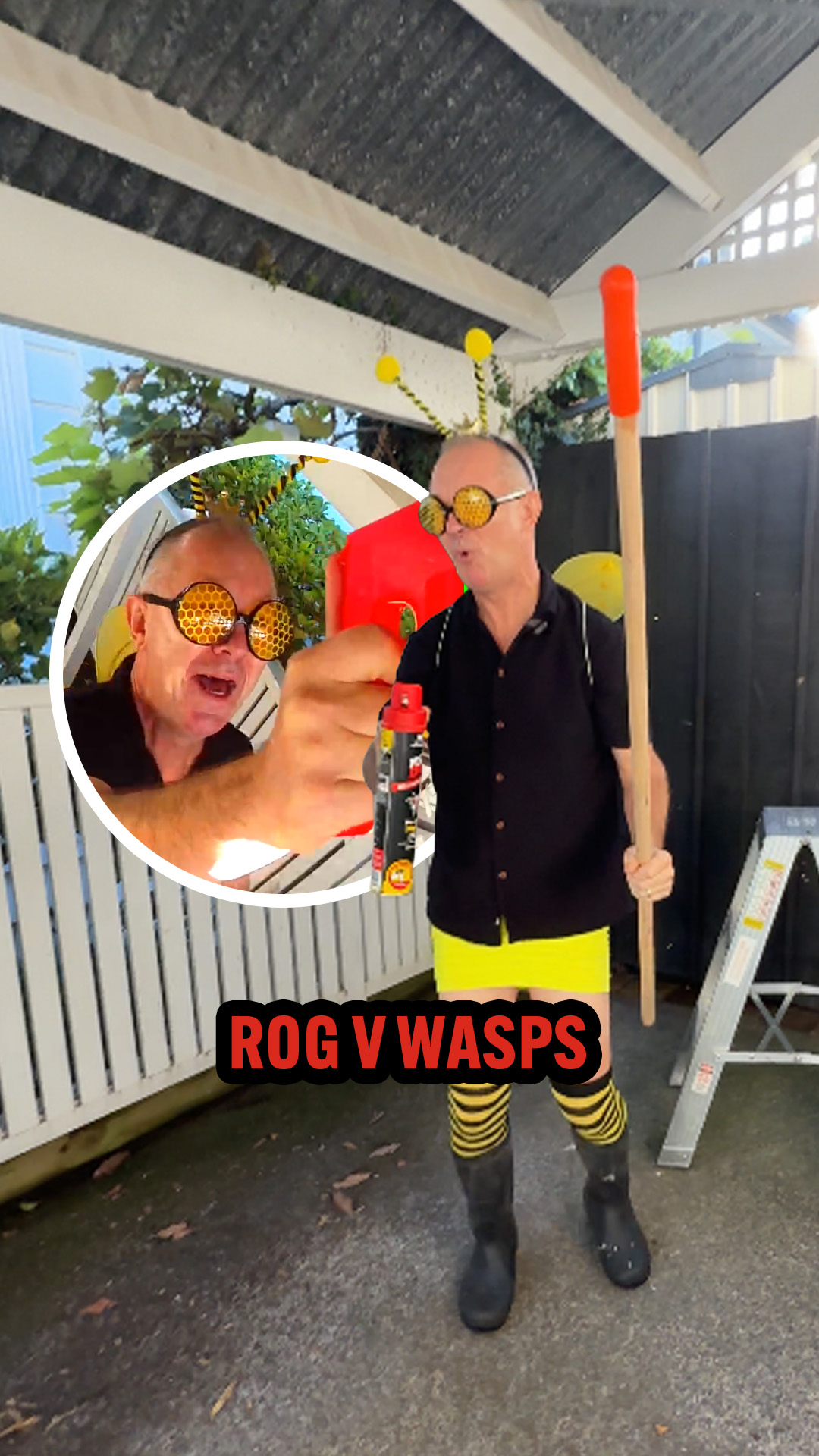 Rog takes on a wasp nest