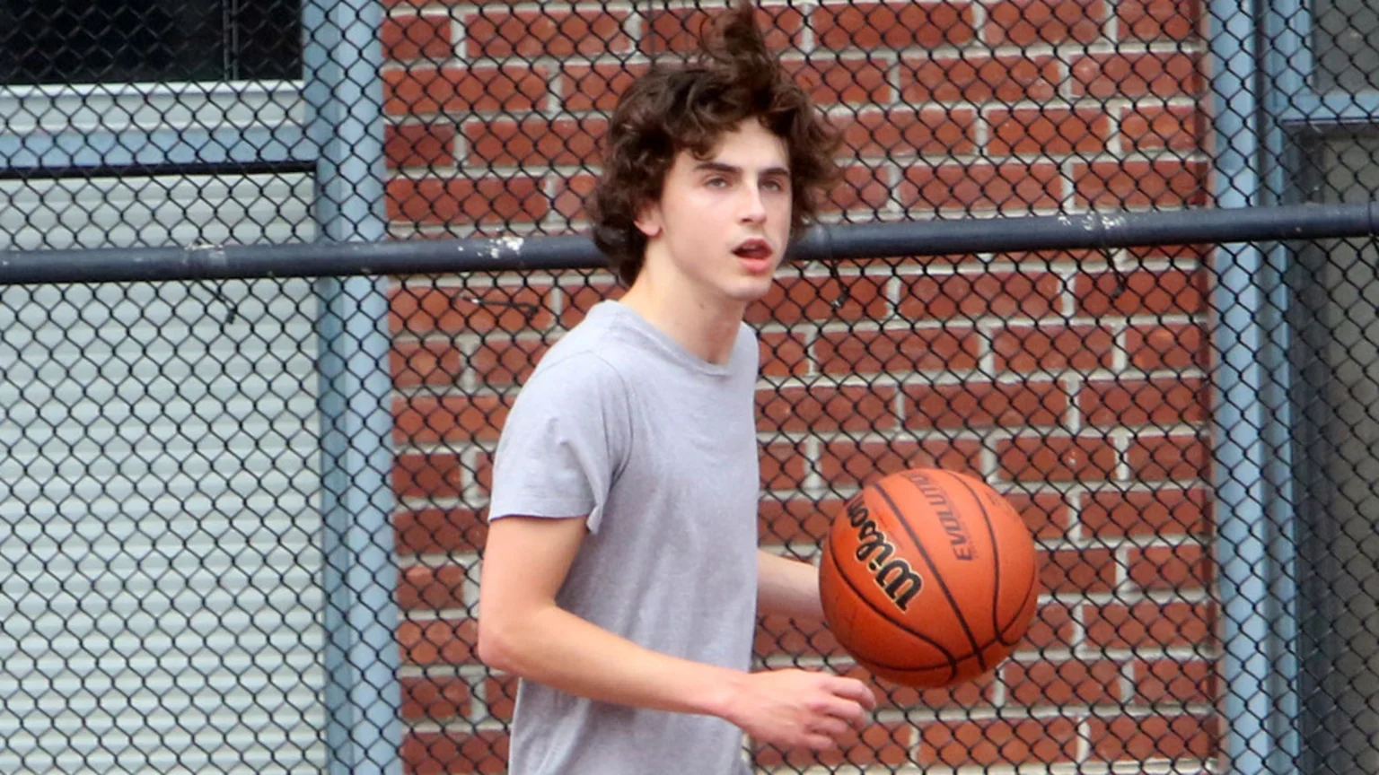 Timothée Chalamet, in a grey t-shirt, holds an orange Wilson basketball outdoors, with a chain-link fence and brick wall behind him.