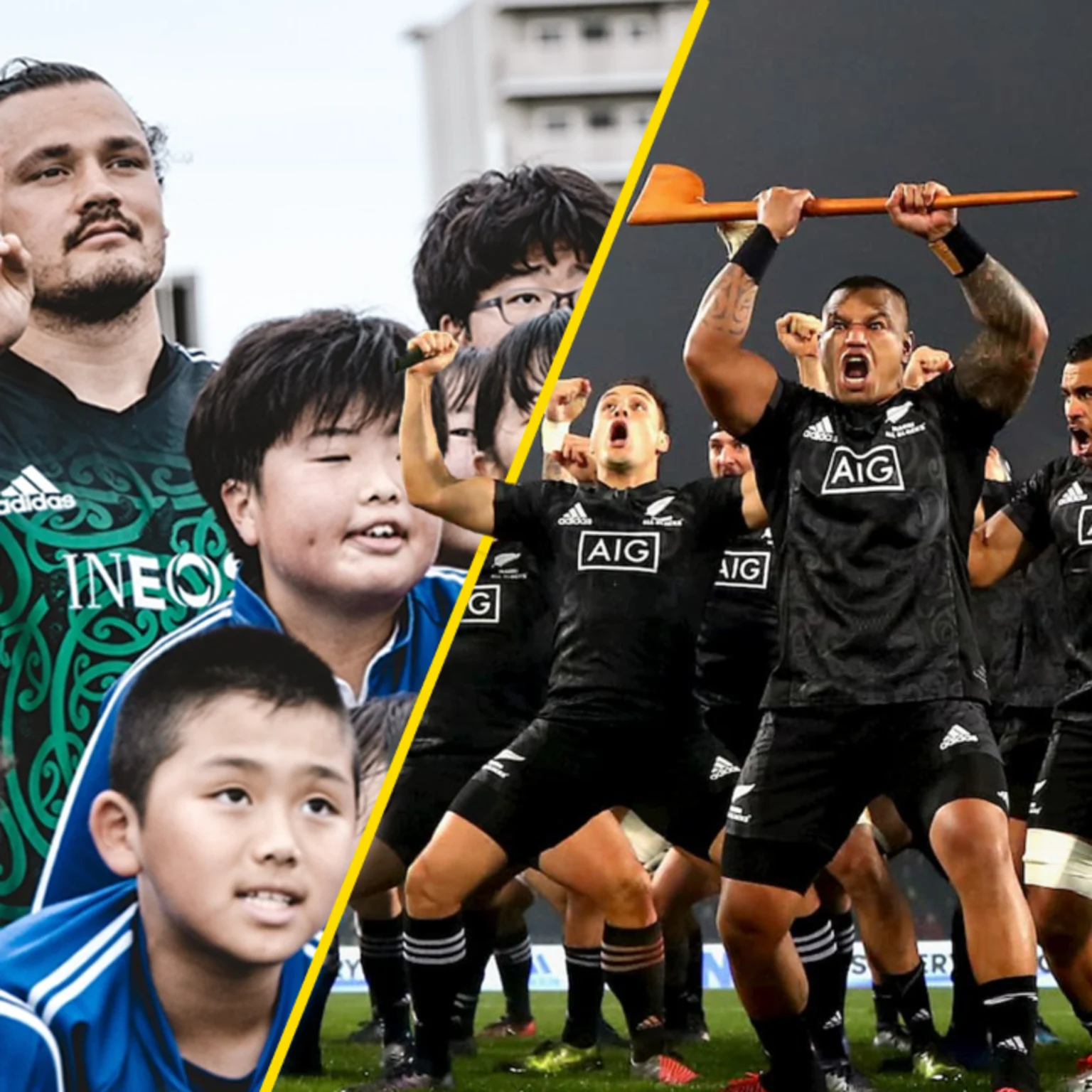 All blacks maori shirt sales