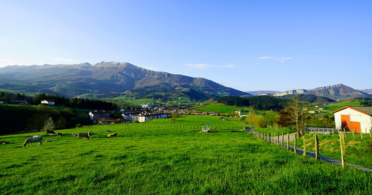 Federated Farmers acting President calls for more 'realistic' climate ...