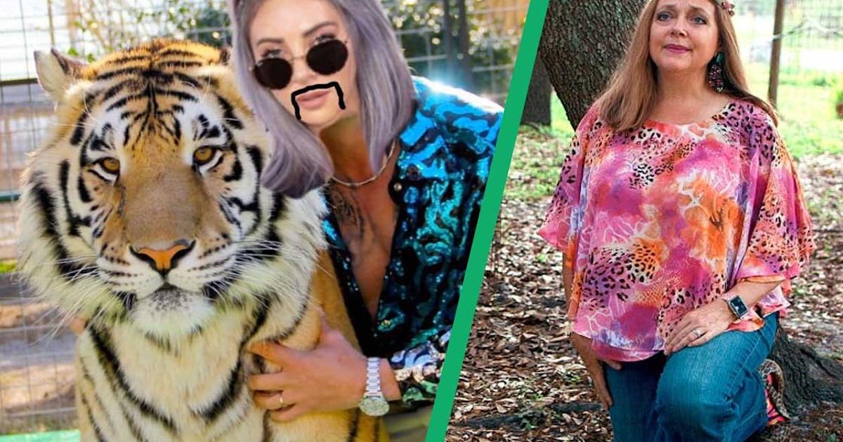 Alison Wonderland just dropped a track about Carole Baskin 🐯 | Articles ...