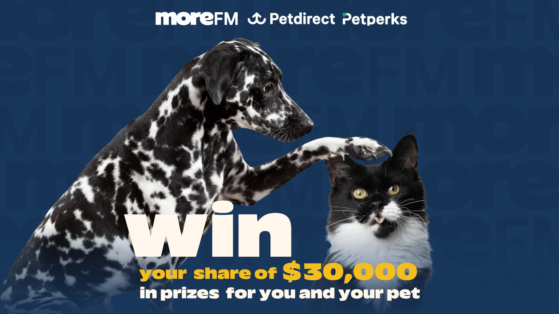 A black and white spotted dog rests its paw on a black and white cat, with text announcing "win your share of $30,000 in prizes for you and your pet" and "moreFM Petdirect Petperks" on a blue background.
