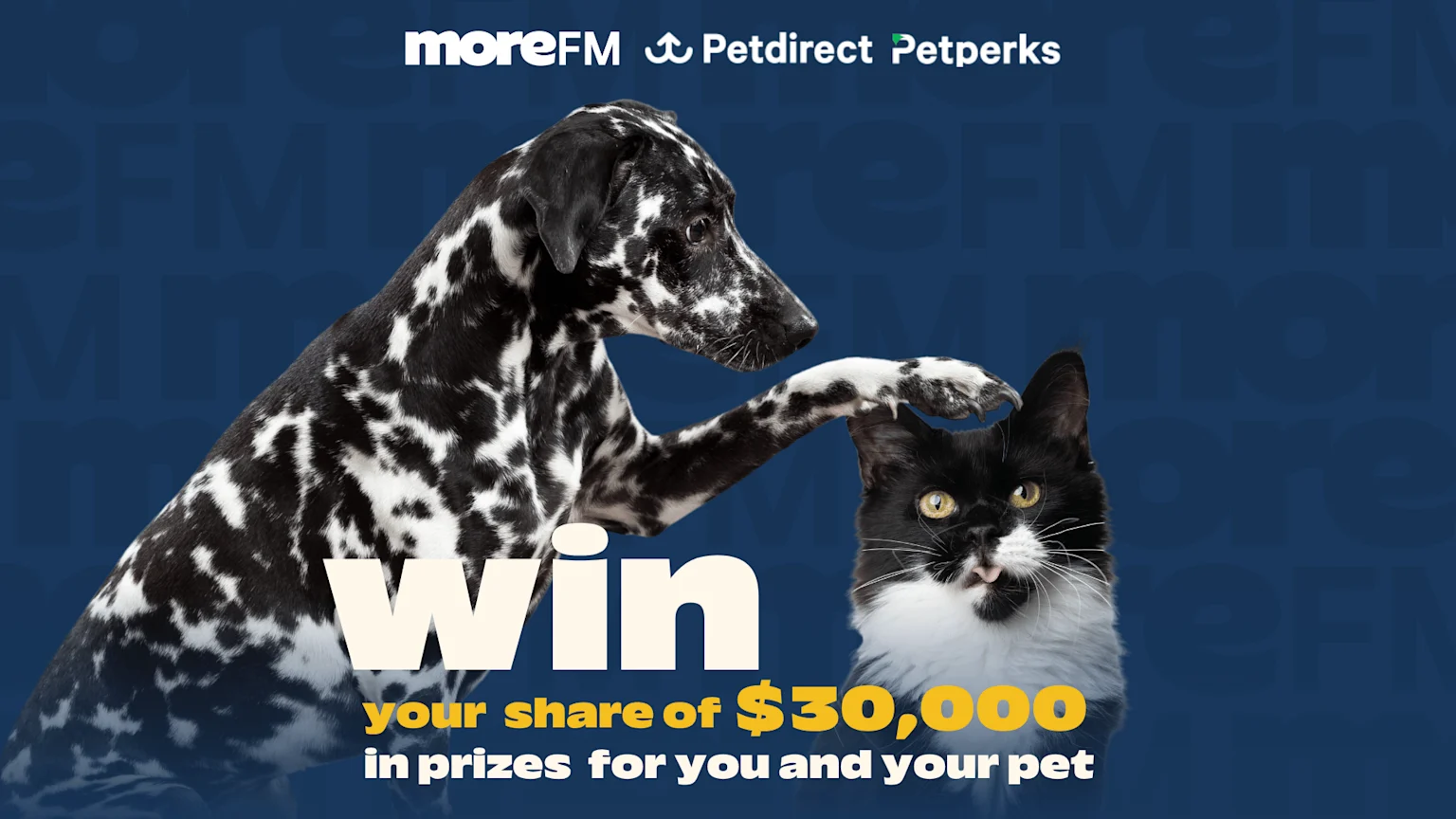 A black and white spotted dog rests its paw on a black and white cat, with text announcing "win your share of $30,000 in prizes for you and your pet" and "moreFM Petdirect Petperks" on a blue background.