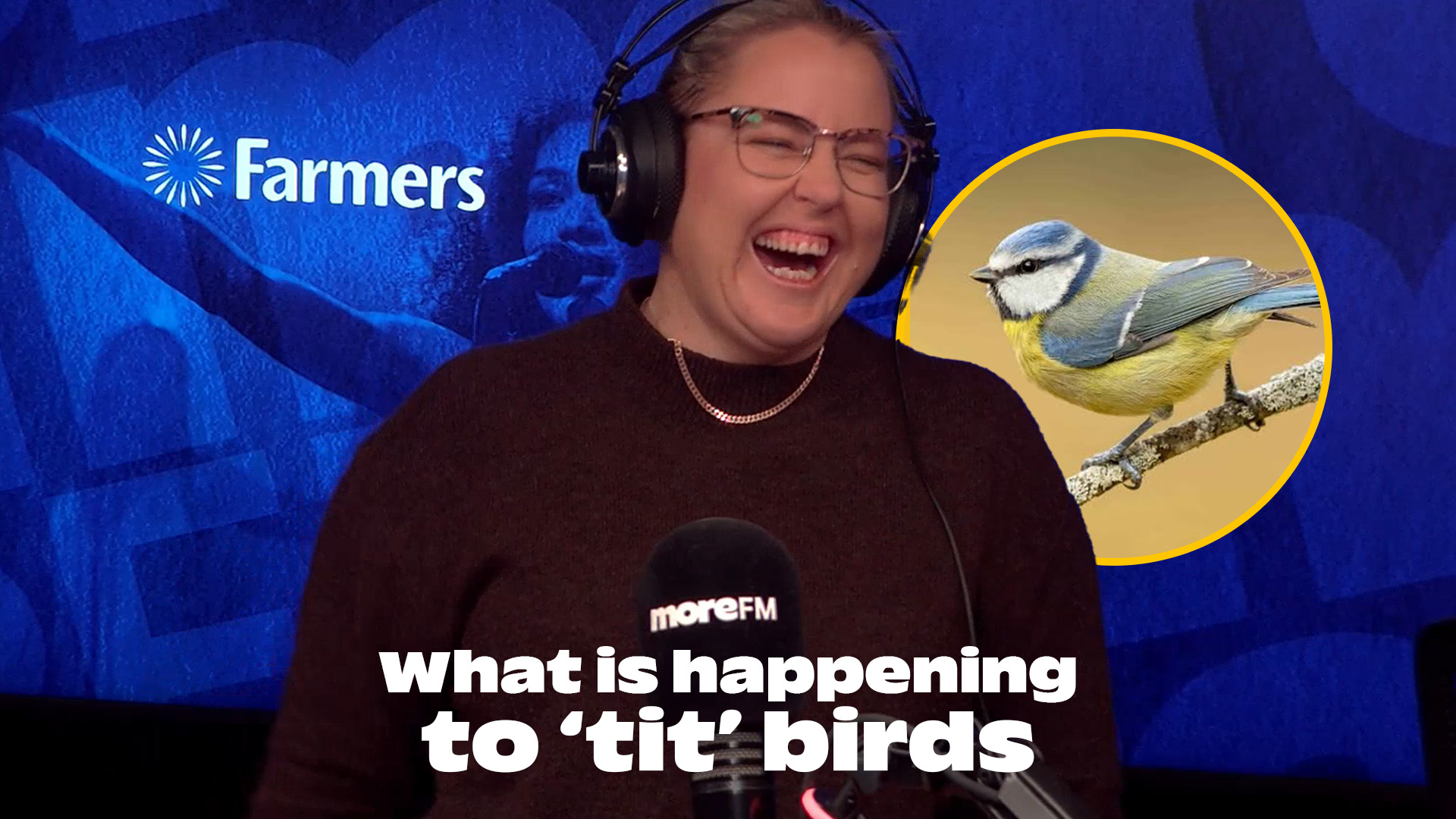 Speedy’s serious bird update