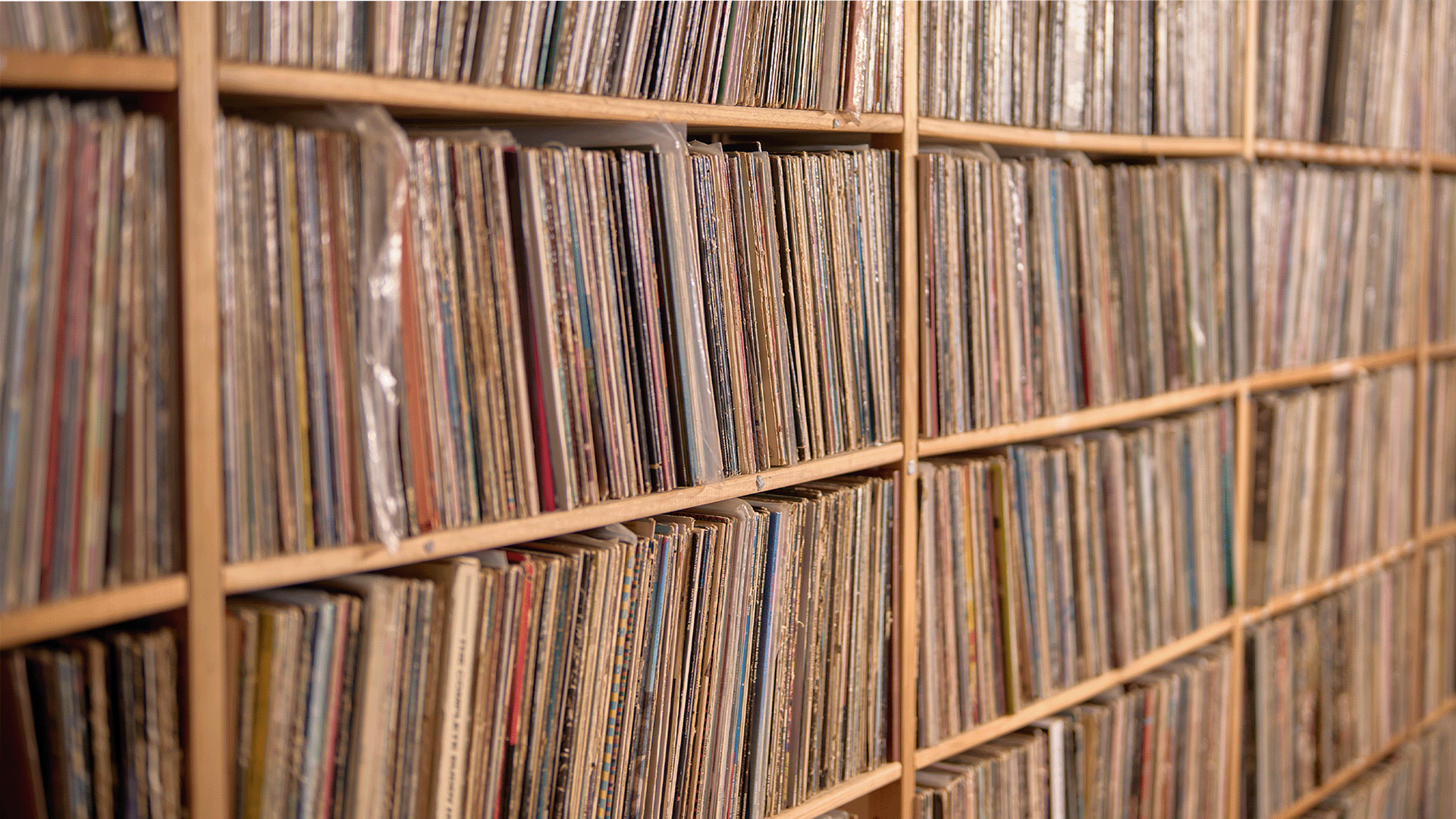 Wooden shelves filled with vinyl records