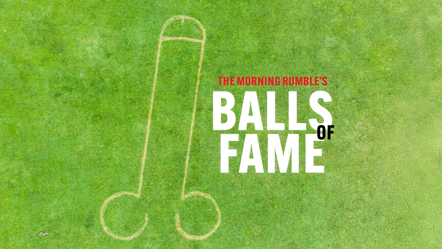 Balls of fame text next to a penis burned into a lawn