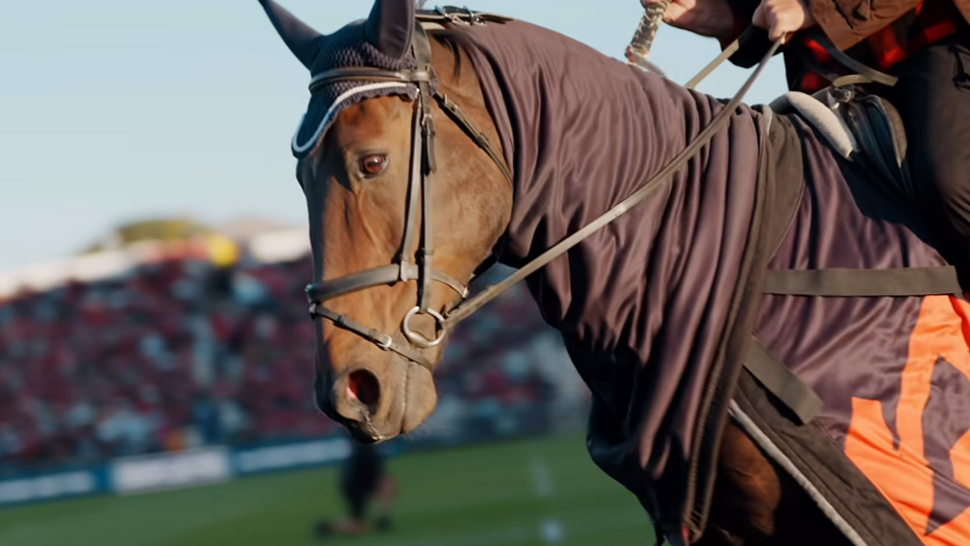 Crusaders horses rumoured to return following fan footage from One NZ Stadium 
