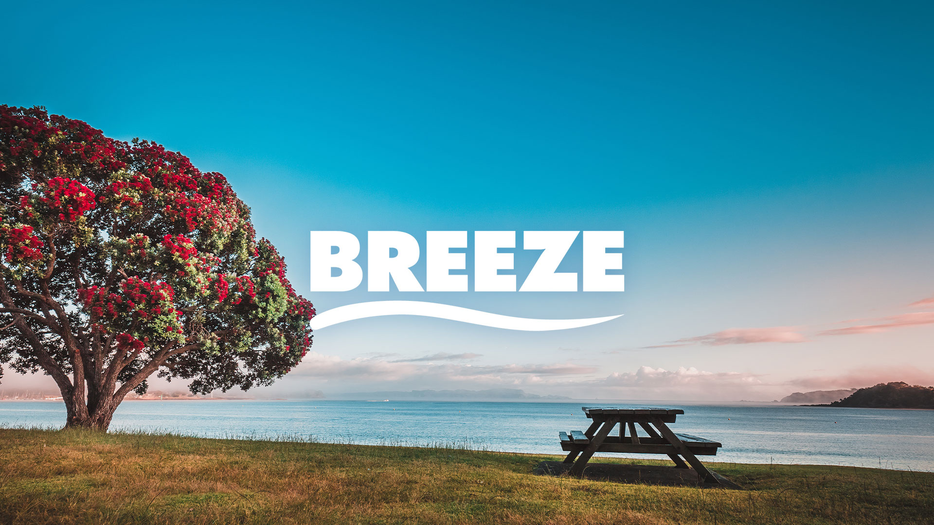 The Breeze logo with pohutukawa and picnic bench behind