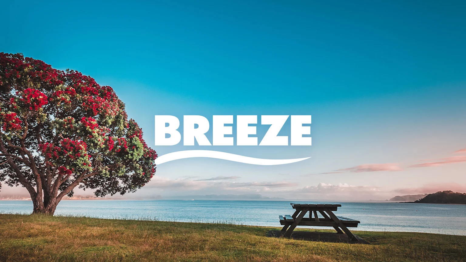 The Breeze logo with pohutukawa and picnic bench behind