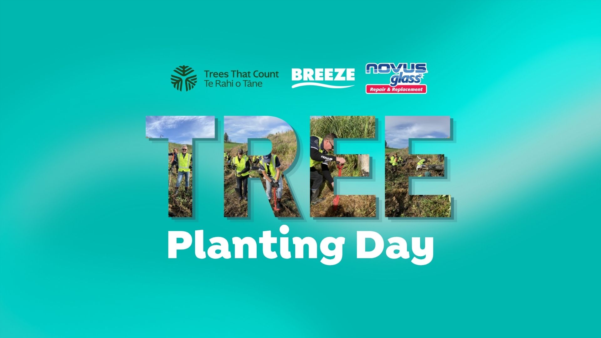 A teal background with "Trees That Count," "BREEZE," and "NOVUS glass" logos, features the word "TREE" filled with photos of people planting trees, and "Planting Day" below.