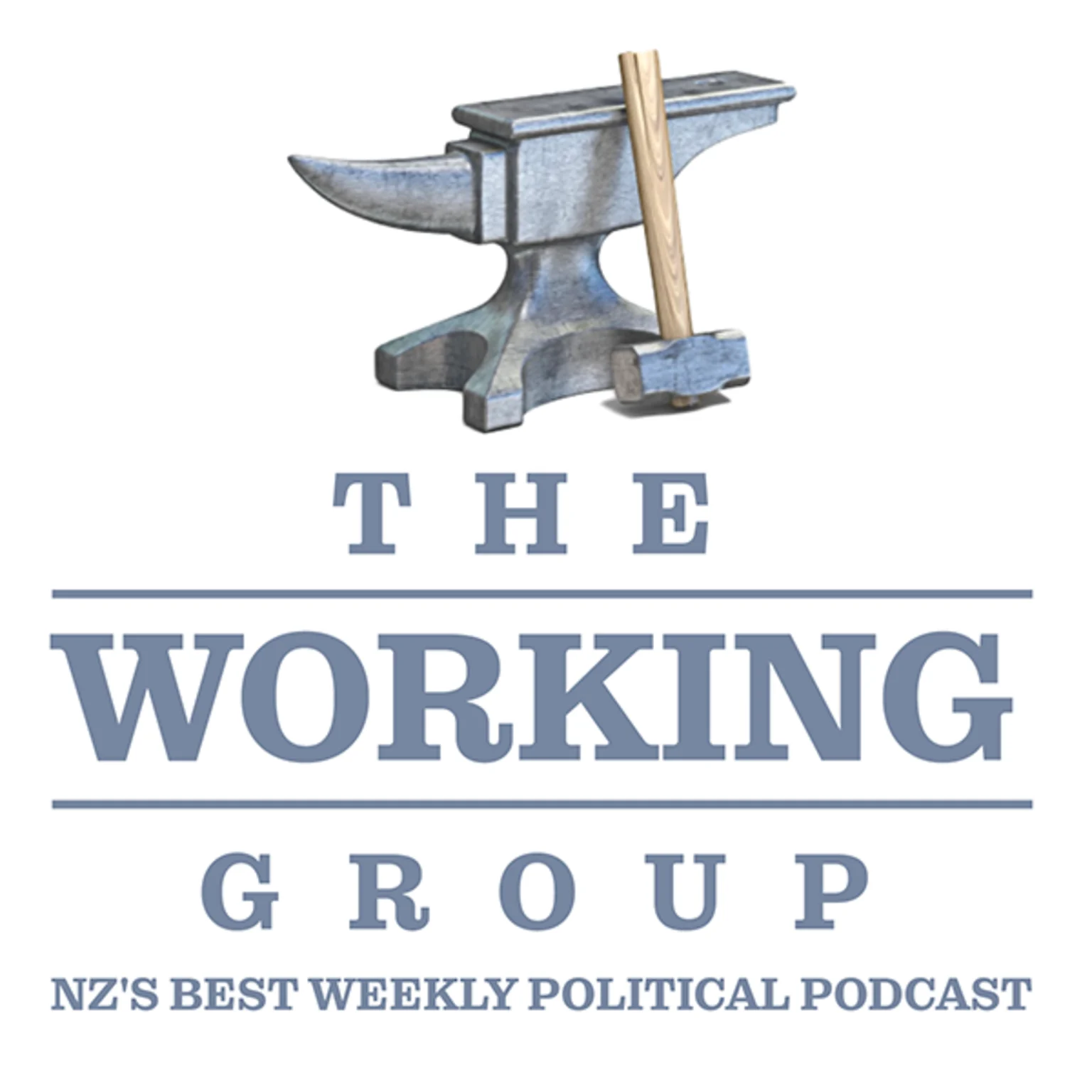 David Seymour, Dunedin Hospital and Speed Limits | GUESTS: Simon Wilson & Matthew Tukaki