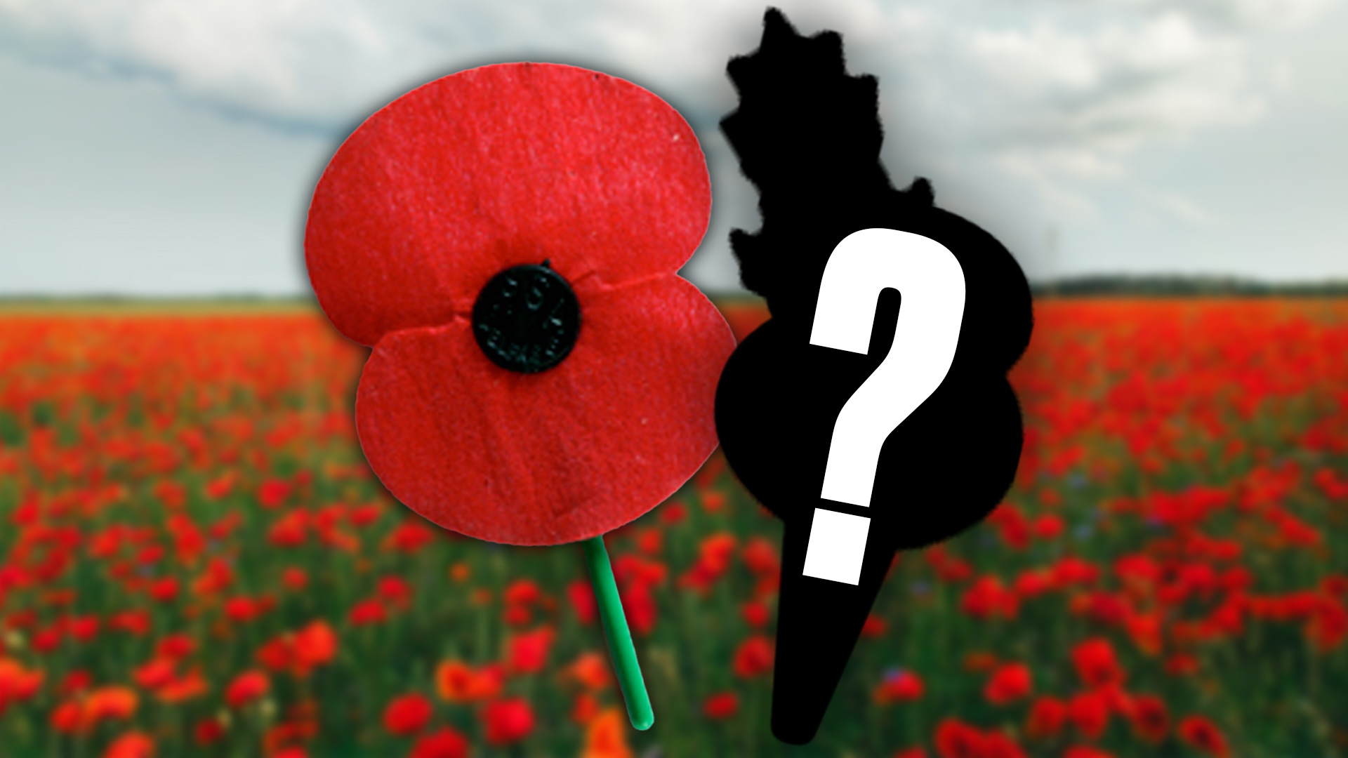 RSA reveal NZ's ANZAC poppy has changed after 50 years