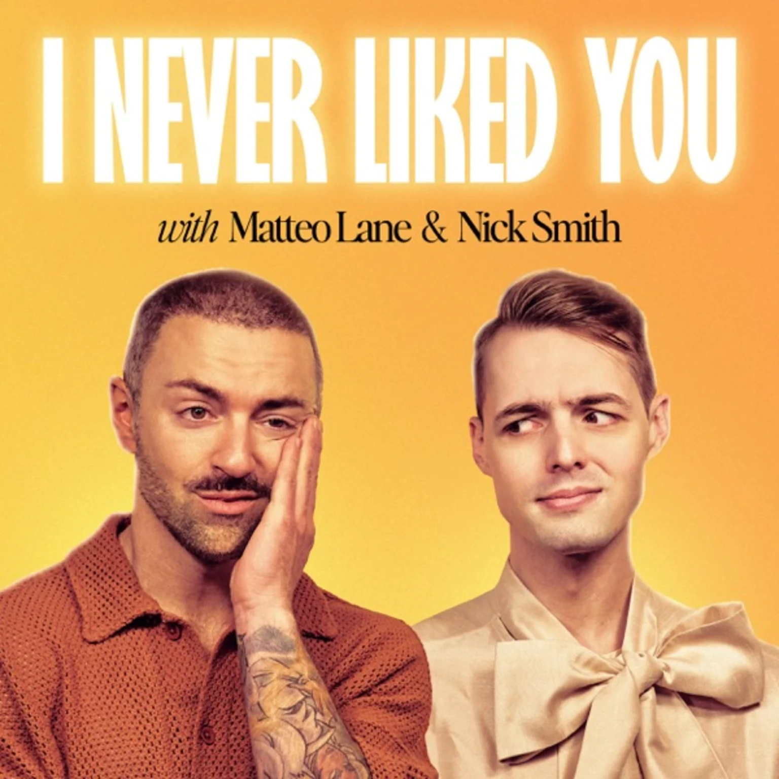 I Never Liked You