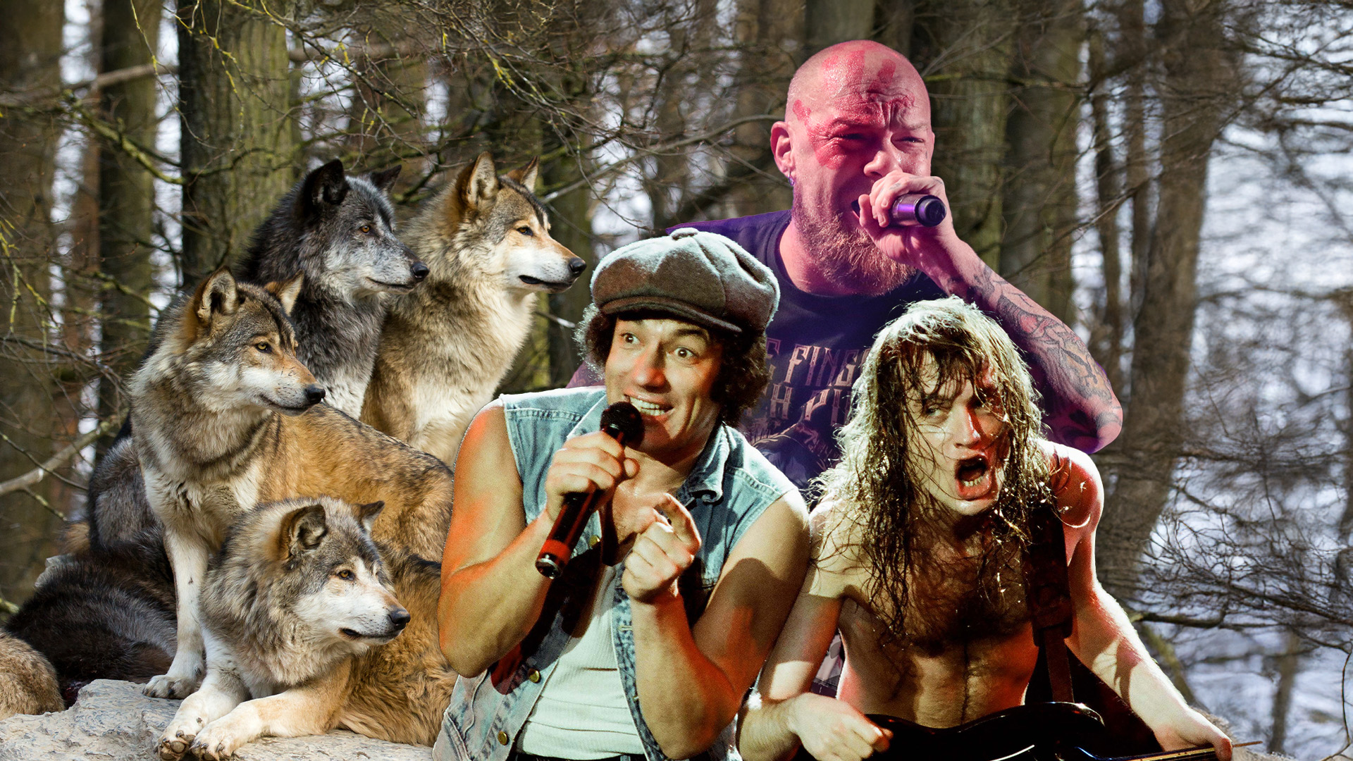 AC/DC, Five Finger Death Punch and wolves