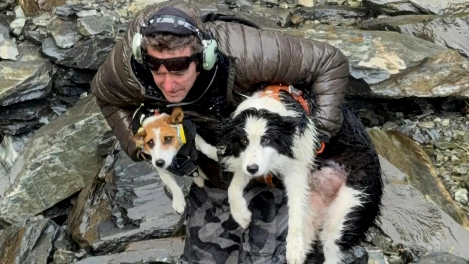 A man in a brown puffer jacket, sunglasses, and headphones holds two wet dogs—a small brown-and-white and a larger black-and-white dog with a visible furless patch—in a rocky area.