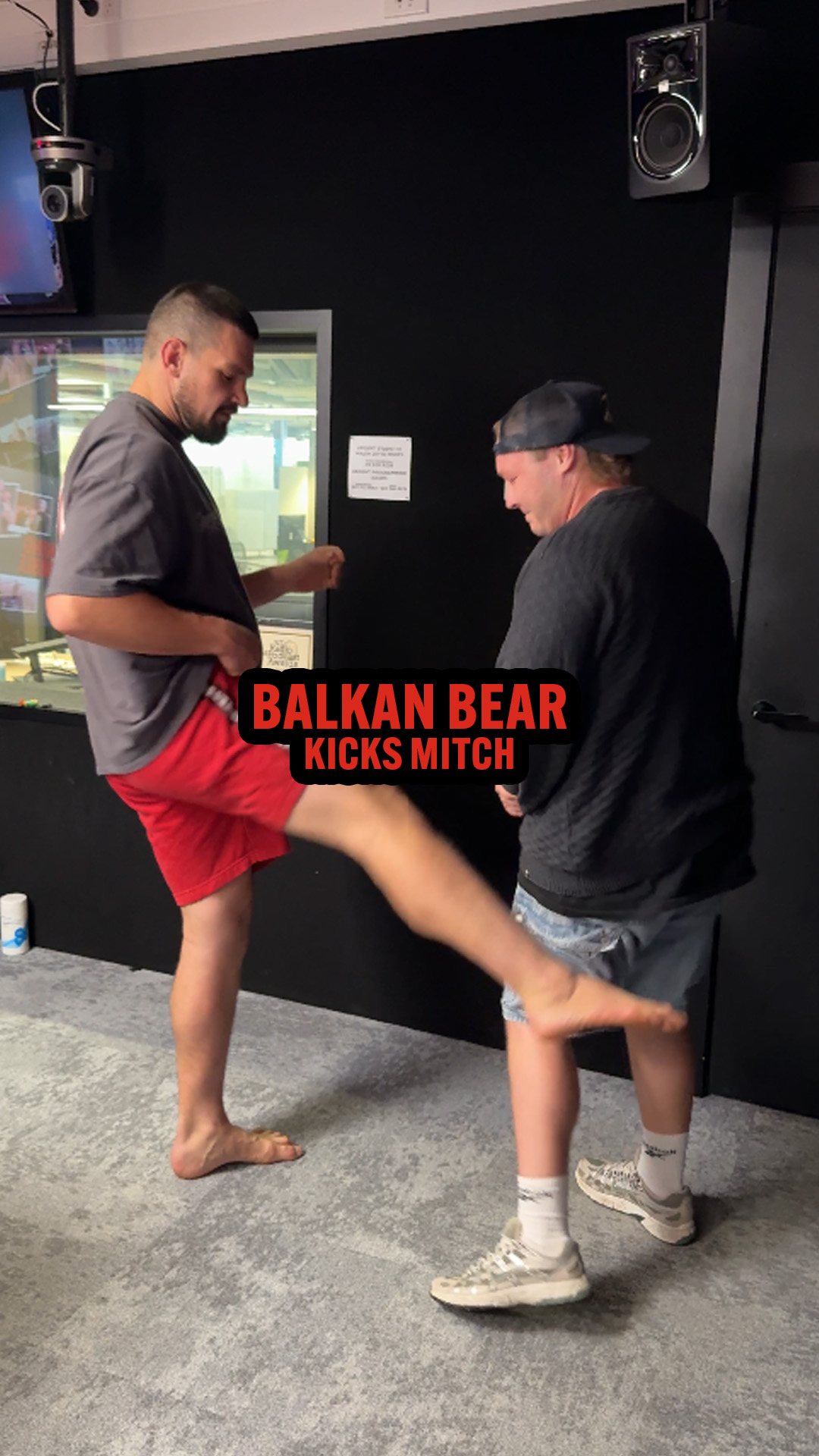 The Balkan Bear v Mitch