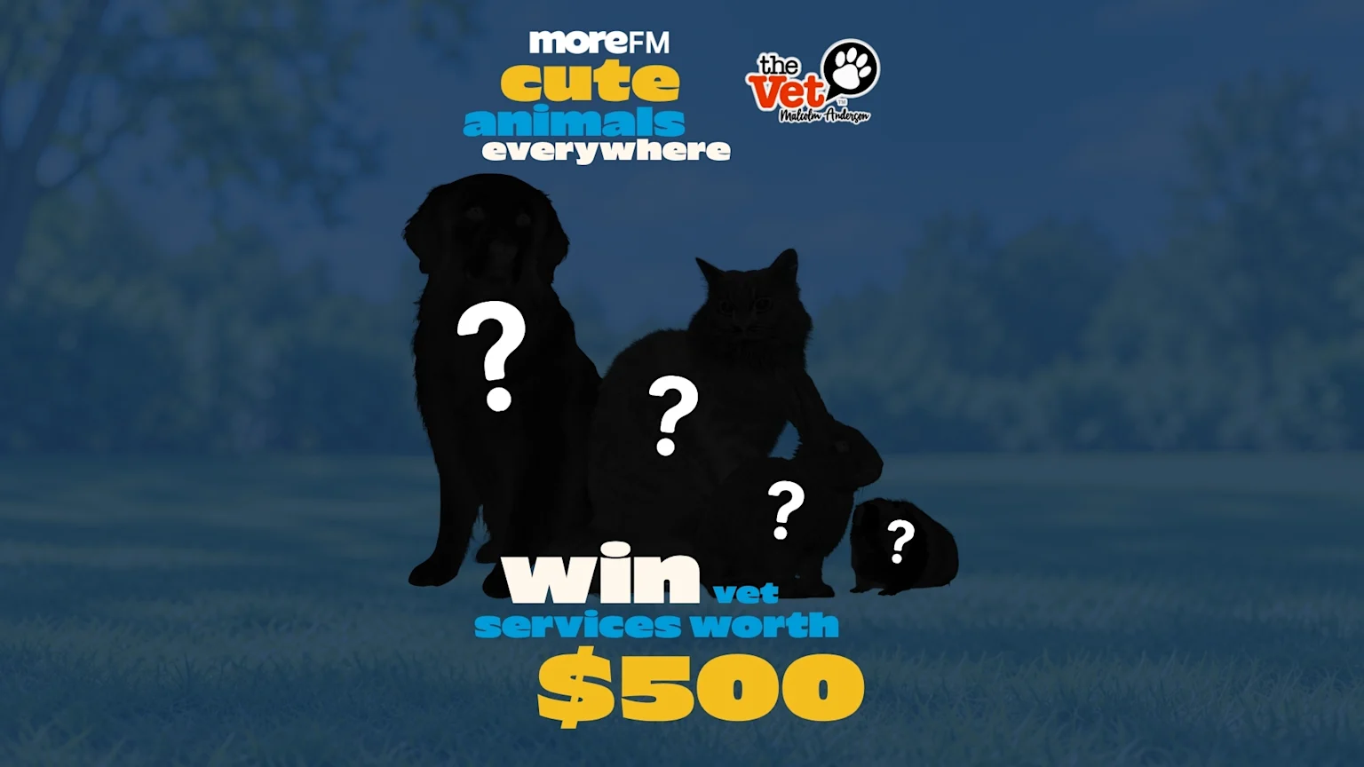 A promotional image for "moreFM cute animals everywhere" and "The Vet" showing silhouettes of a dog, cat, rabbit, and guinea pig with question marks, offering "win vet services worth $500."