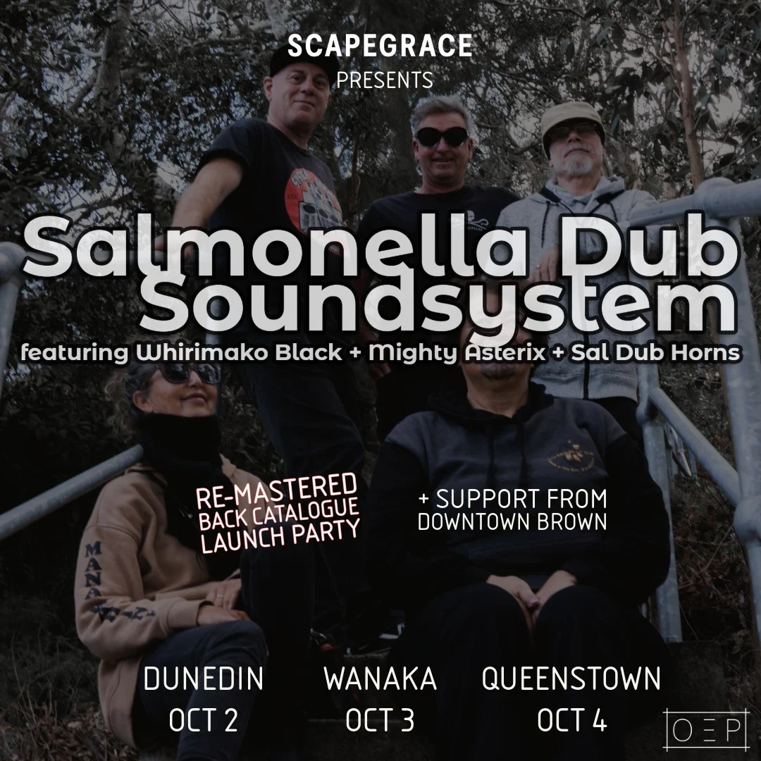 Salmonella Dub Soundsystem band members pose on concrete stairs