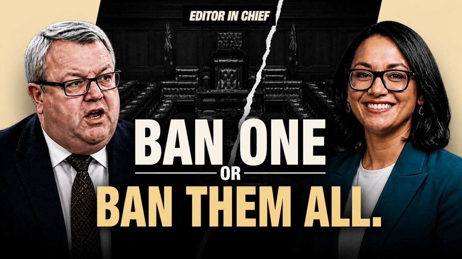 An angry man and a smiling woman frame a torn parliamentary chamber with the text "BAN ONE OR BAN THEM ALL."