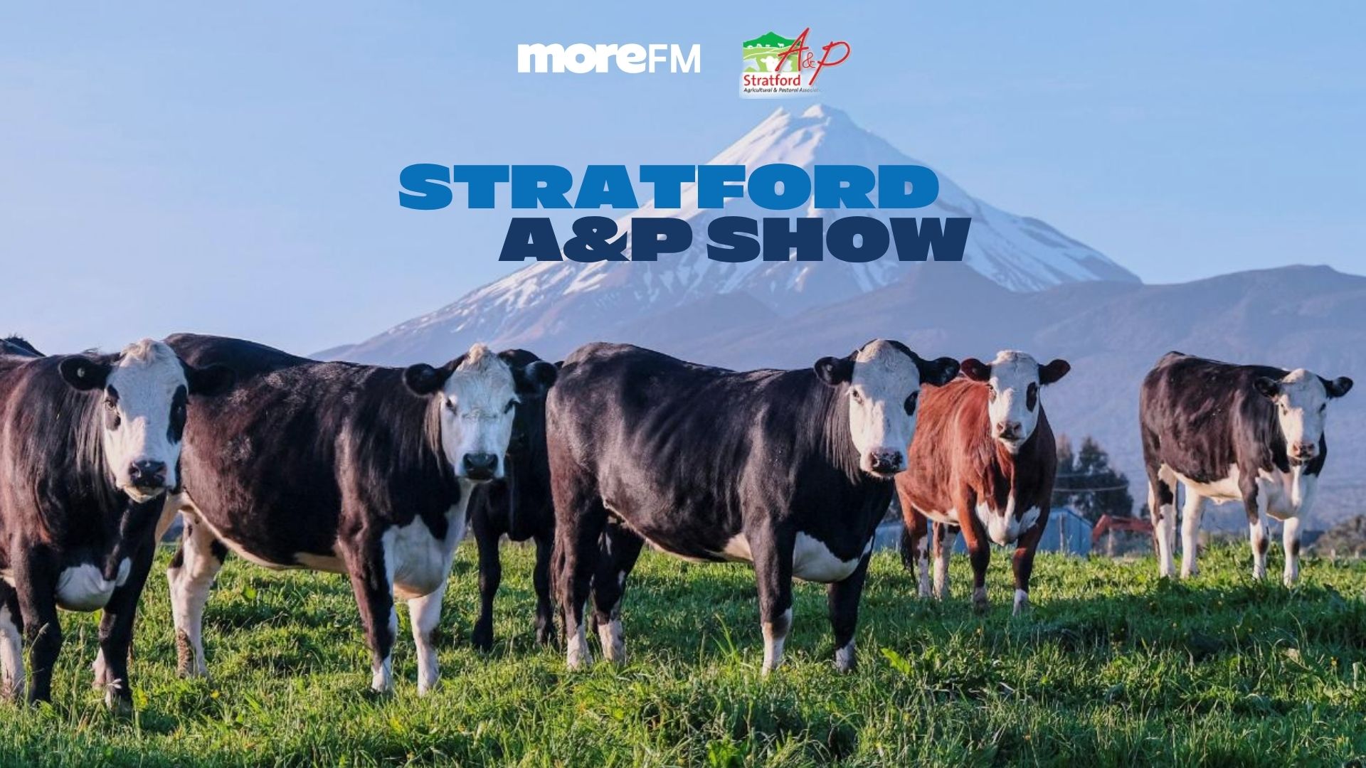 Several cows, mostly black and white, stand in a green field with a snow-capped mountain under a blue sky, featuring "moreFM" and "Stratford A&P Show" text overlays.