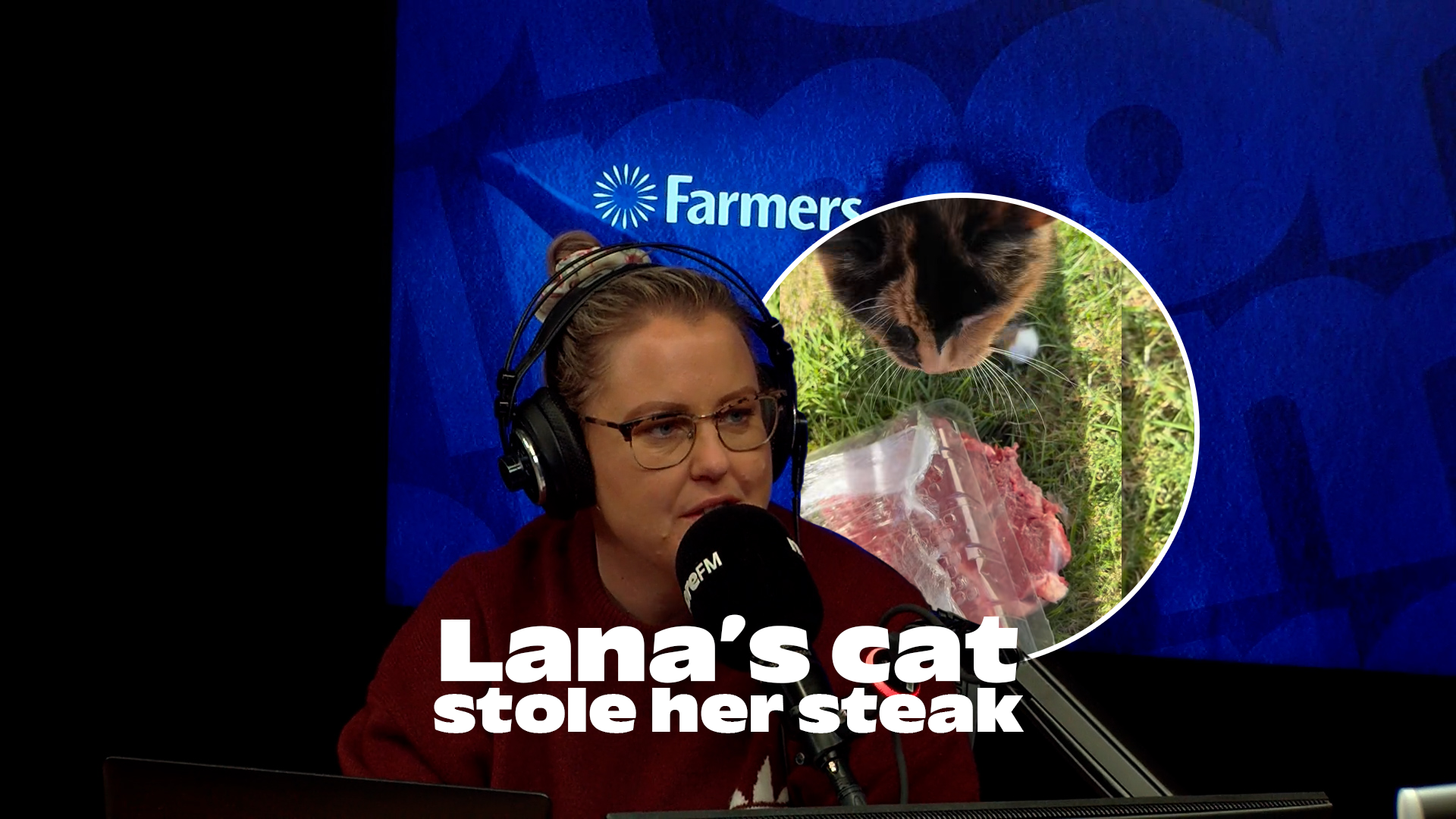 Lana's cat stole her steak